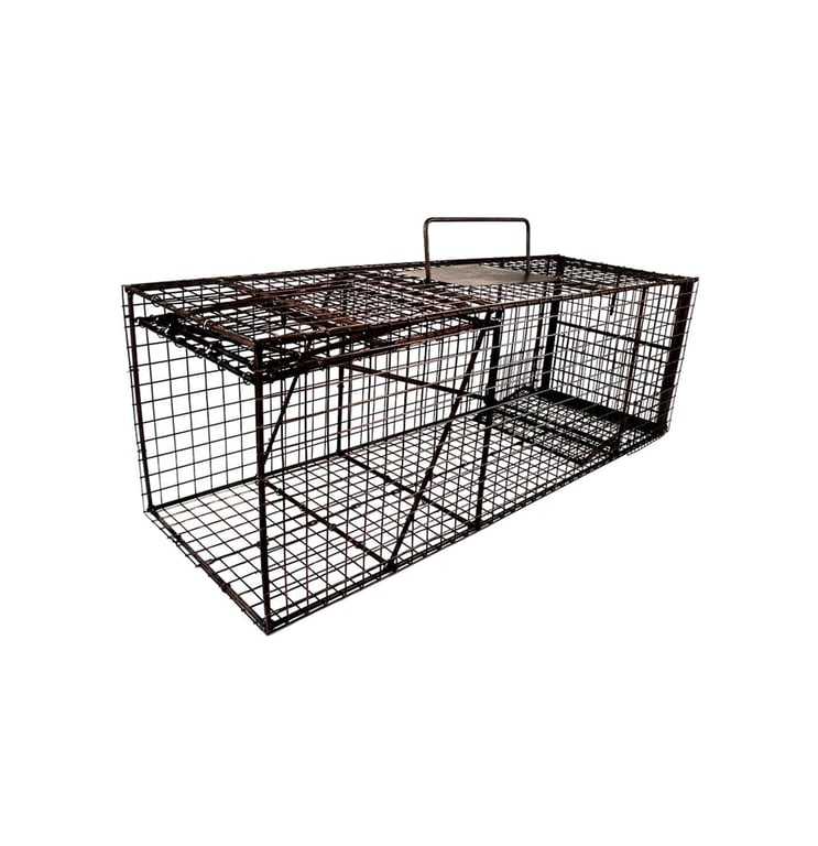Koonce Door Set Raccoon Trap 12 x 12 x 36 inch – Black – Division