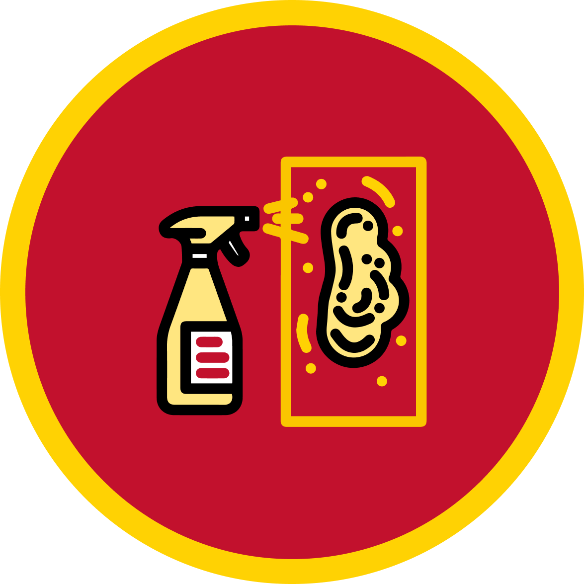 Crawlspace - Mold Removal