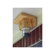 Busy Bee Traps – Busy Bee Trap