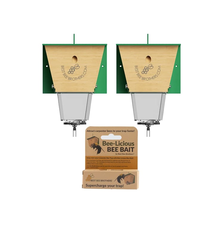 Busy Bee Trap