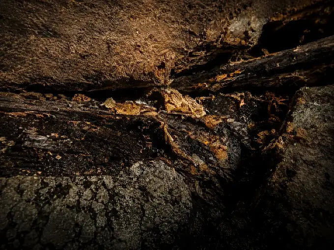Wood Rot in a crawl space