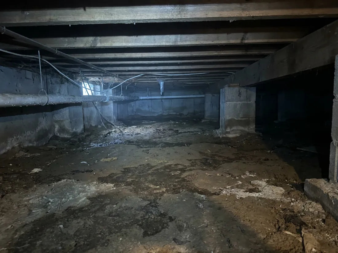 Dark, damp, unmonitored crawl space with moisture on the surfaces